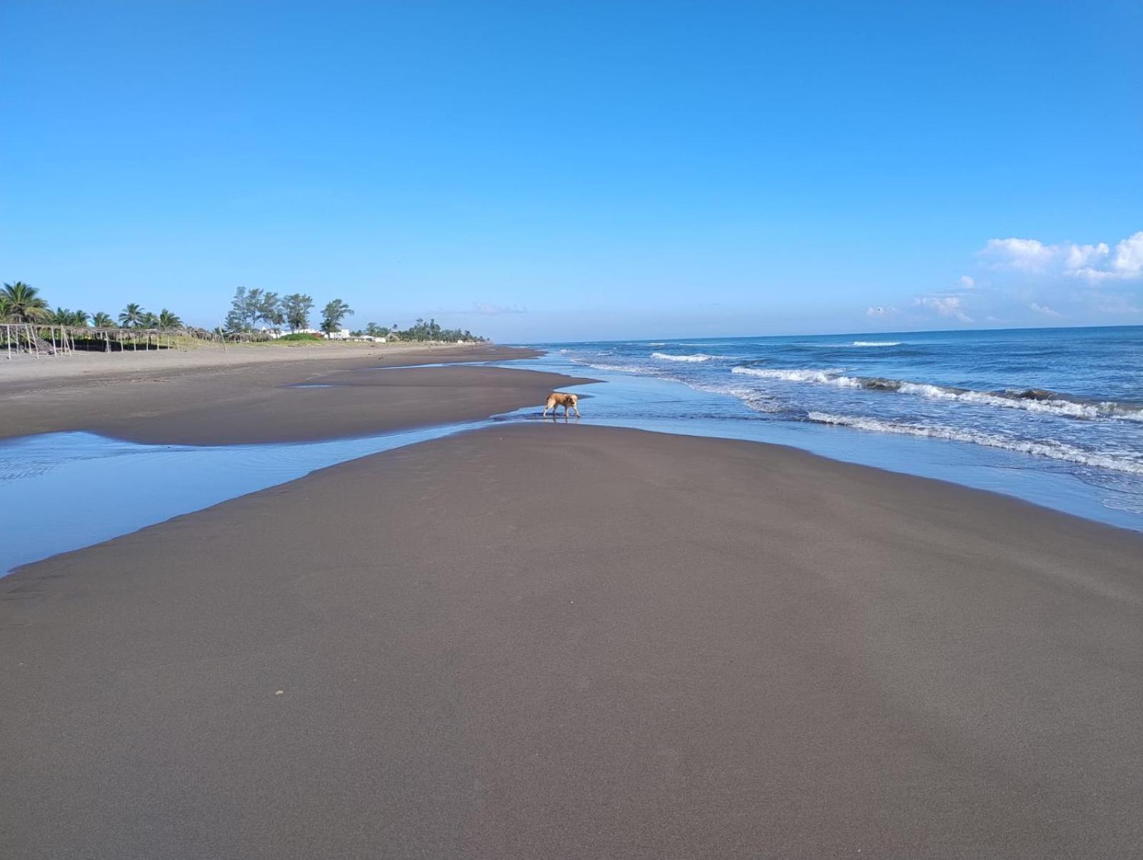 קסיטאס Playa Encantada מראה חיצוני תמונה